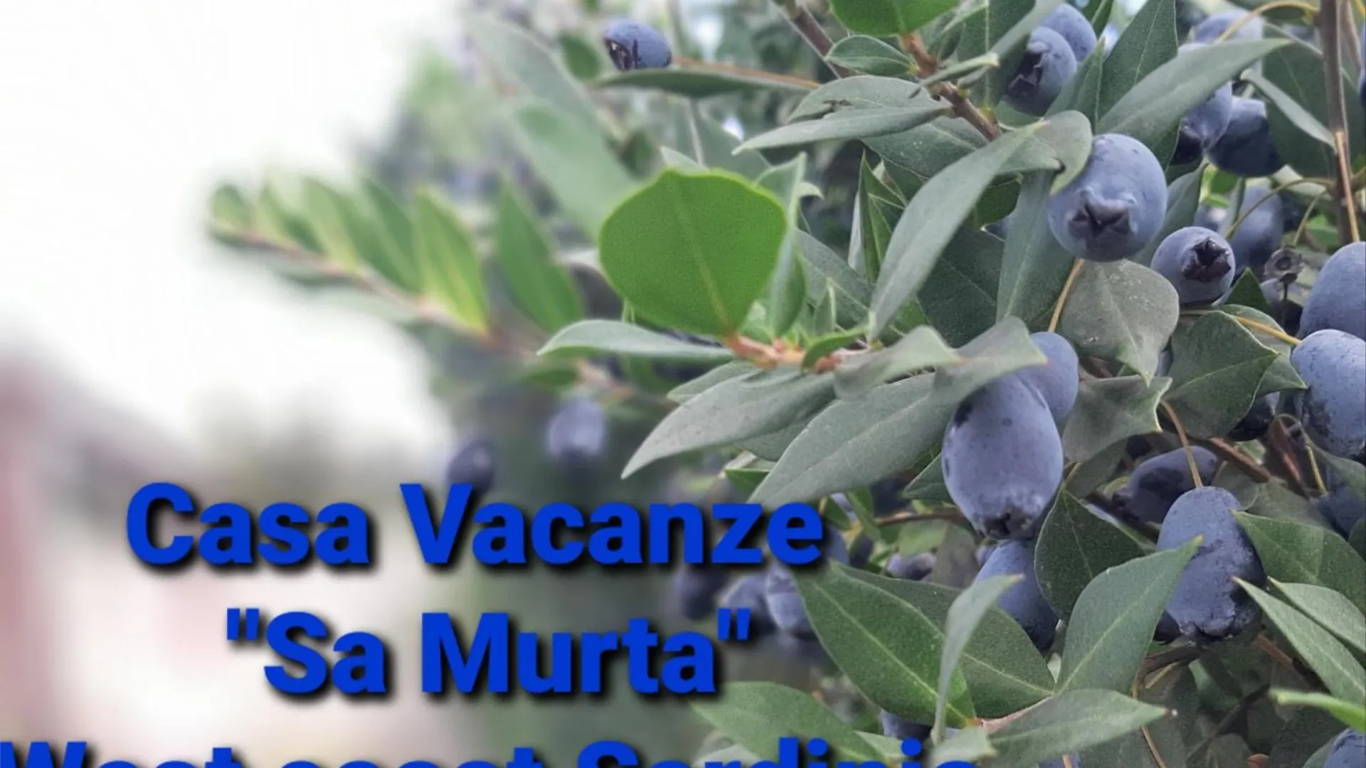 Casa Vacanza Sa Murta Solanas  Italy